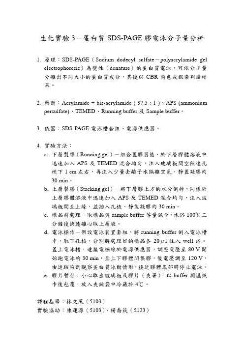 生化实验3-蛋白质SDS-PAGE胶电泳分子量分析