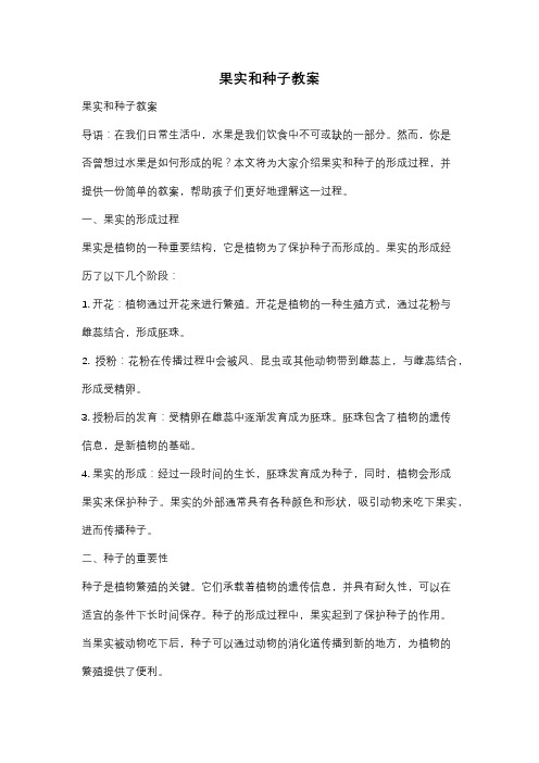 果实和种子教案