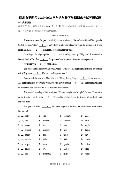 广东省深圳市罗湖区2022-2023学年八年级下学期期末考试英语试题含解析