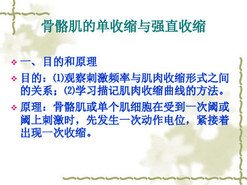 实验二不同刺激强度对肌肉收缩的影响