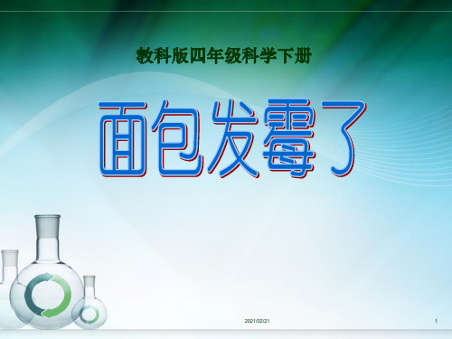 小学四年级下册科学 《面包发霉了》食物PPT优选课件