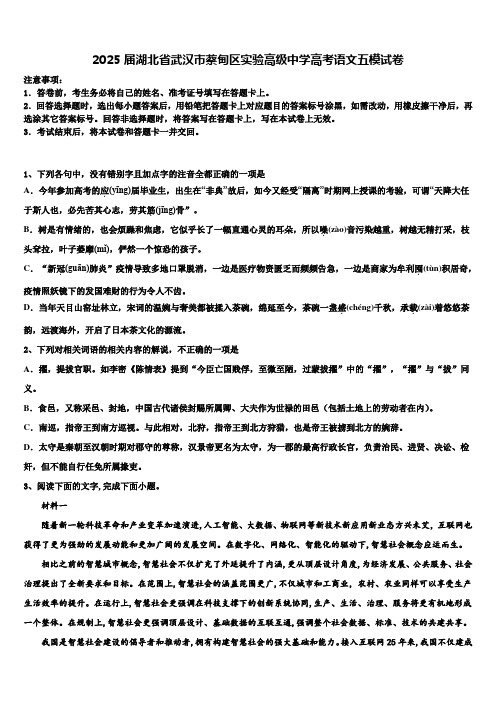 2025届湖北省武汉市蔡甸区实验高级中学高考语文五模试卷含解析