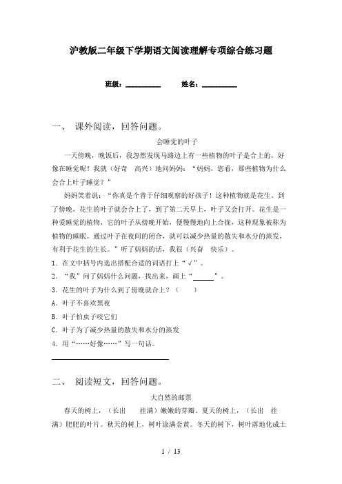 沪教版二年级下学期语文阅读理解专项综合练习题