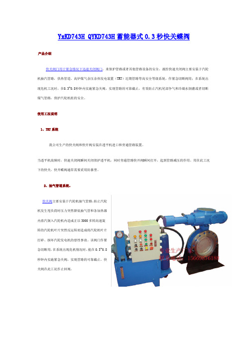 蓄能器式0.3秒快关阀门