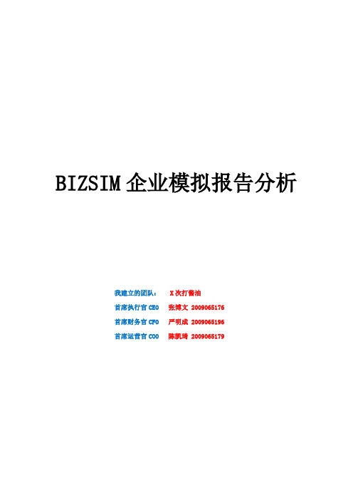 bizsim分析