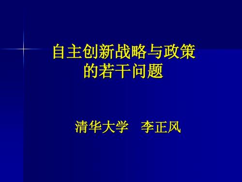 自主创新战略与政策