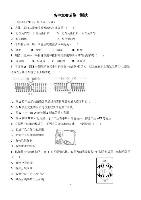 高中生物必修一测试及答案解析