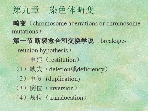 8染色体畸变分析