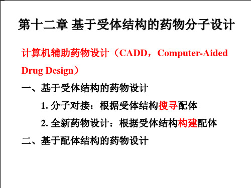 12章基于受体结构的药物分子设计(1)