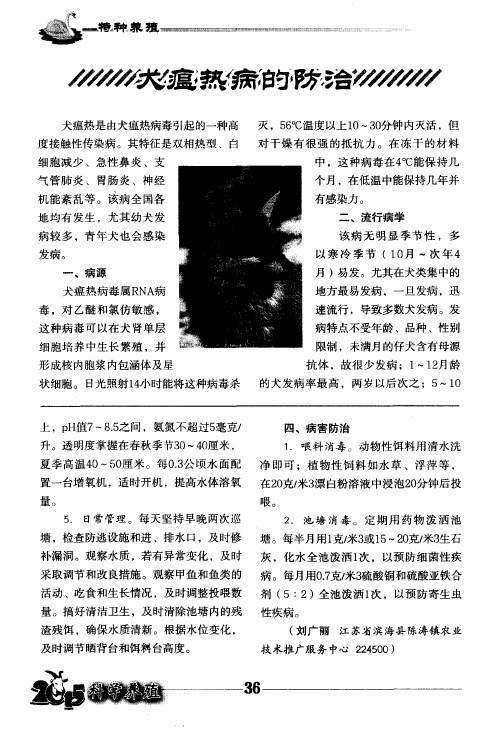 犬瘟热病的防治