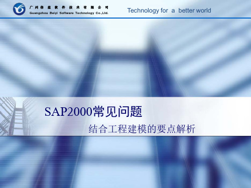 sap2000常见问题