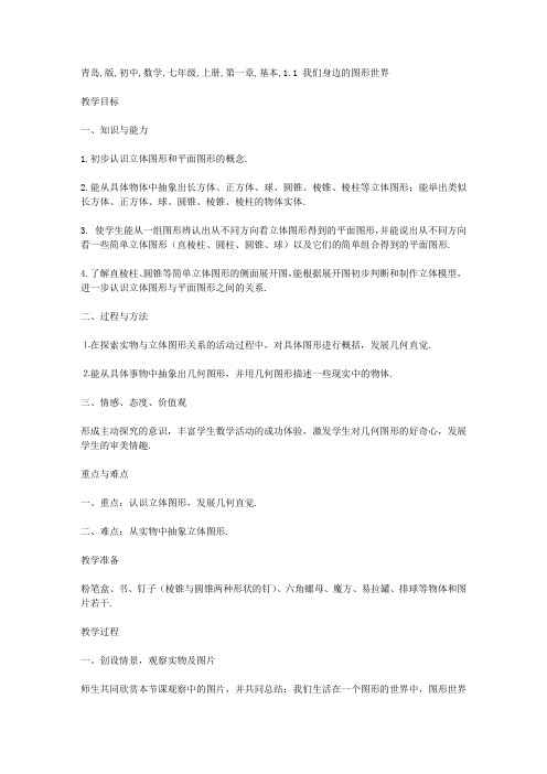 青岛版初中数学七年级上册第一章基本的几何图形1.1我们身边的图形世界教案