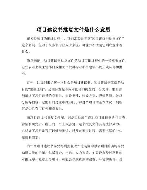 项目建议书批复文件是什么意思