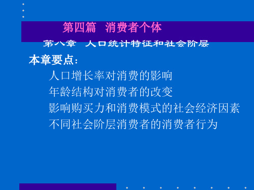 消费者个体人口统计特征和社会阶层