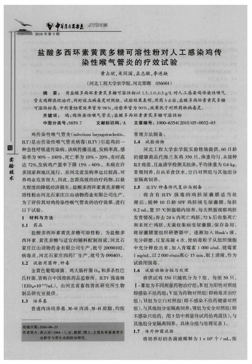 盐酸多西环素黄芪多糖可溶性粉对人工感染鸡传染性喉气管炎的疗效试验