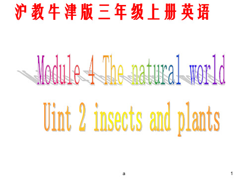 牛津沪教三上Module4Unit2insectsandpla