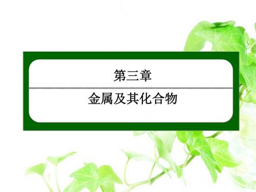 红对勾45分钟·人教版化学必修1高中化学3-3