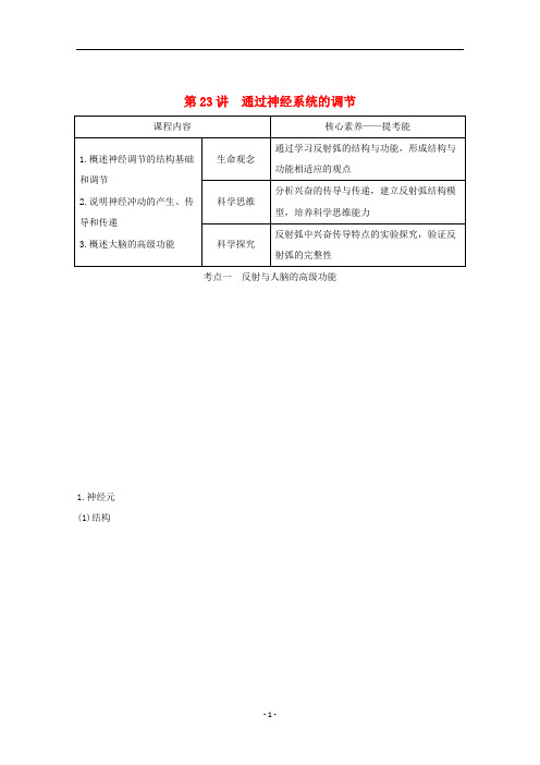 高考生物总复习 第23讲 通过神经系统的调节教案