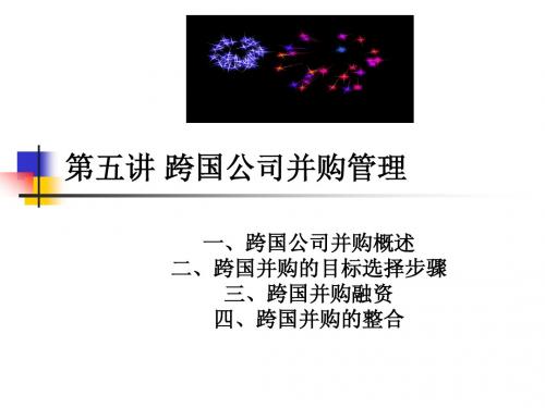 5第五讲 跨国公司并购管理