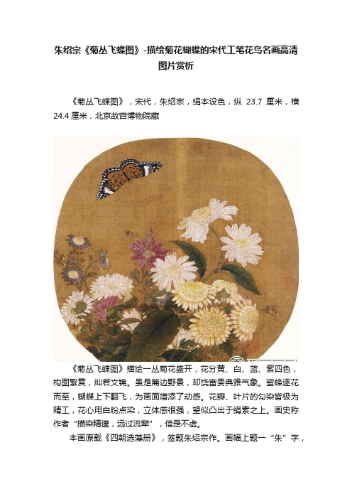 朱绍宗《菊丛飞蝶图》-描绘菊花蝴蝶的宋代工笔花鸟名画高清图片赏析