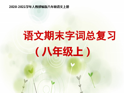 部编版语文八年级上册语文人教版八年级上册字词复习PPT课件