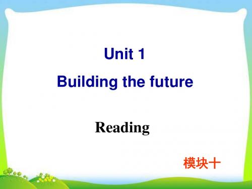 牛津译林版高中英语Module 10 Unit 1 Reading教学课件