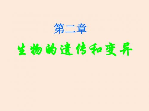 人教版生物八年级下册教学课件 7.2.1 基因控制生物的性状 (共14张PPT)