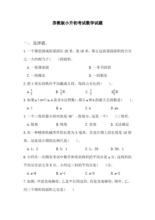 苏教版小升初数学押题卷(含答案解析)