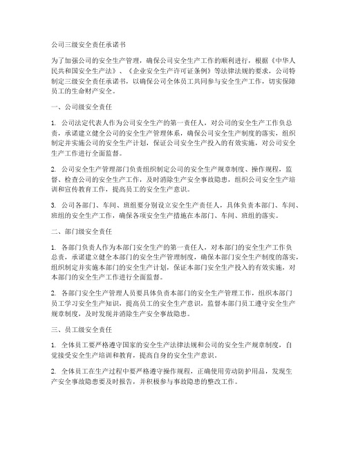 公司三级安全责任承诺书