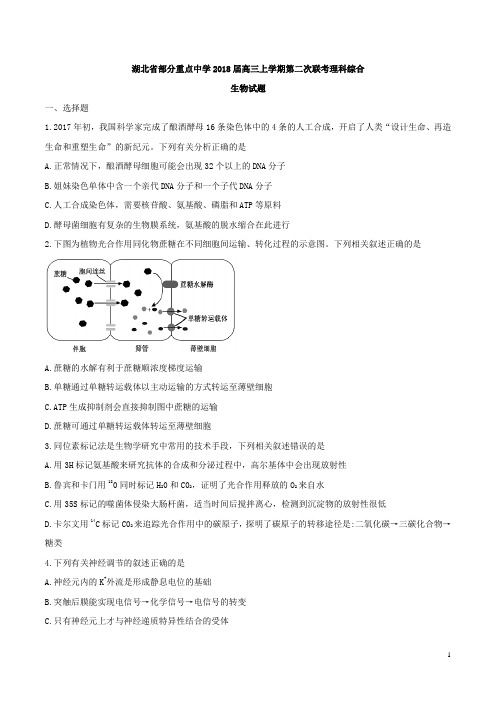 湖北省部分重点中学2018届高三上学期第二次联考理科综合生物试题