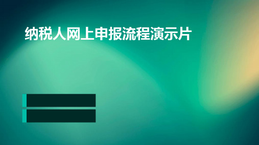 纳税人网上申报流程演示片