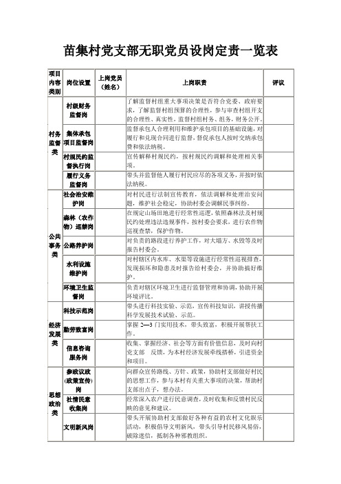 村党支部无职党员设岗定责一览表