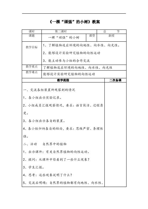 【教学教案】-《一棵“顽强”的小树》教案