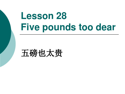 新概念3Lesson 28