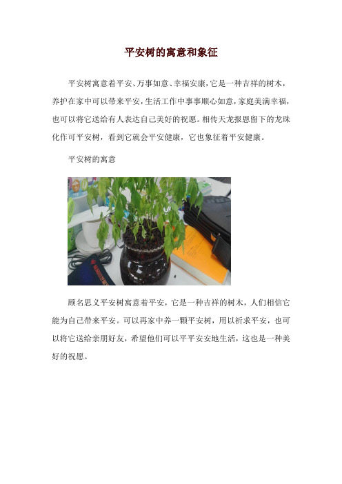 平安树的寓意和象征