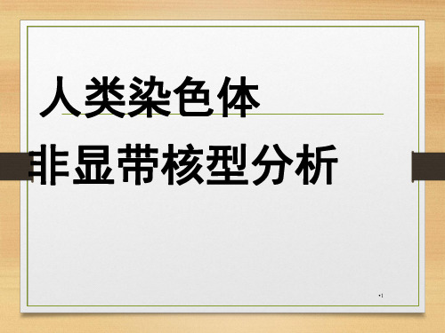 人类染色体非显带核型分析PPT课件