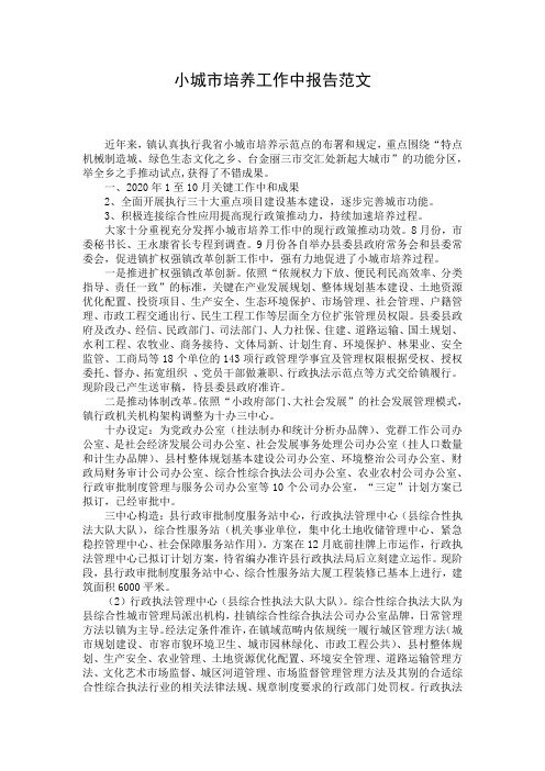 小城市培养工作中报告范文
