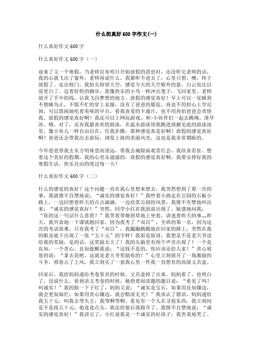 什么的真好600字作文