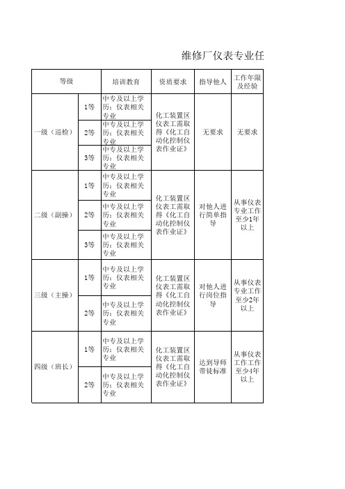 仪表专业任职资格标准