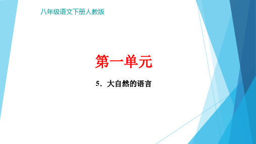 (新)八年级语文部编版下册第二单元5.《大自然的语言》习题(32页)ppt精品课件