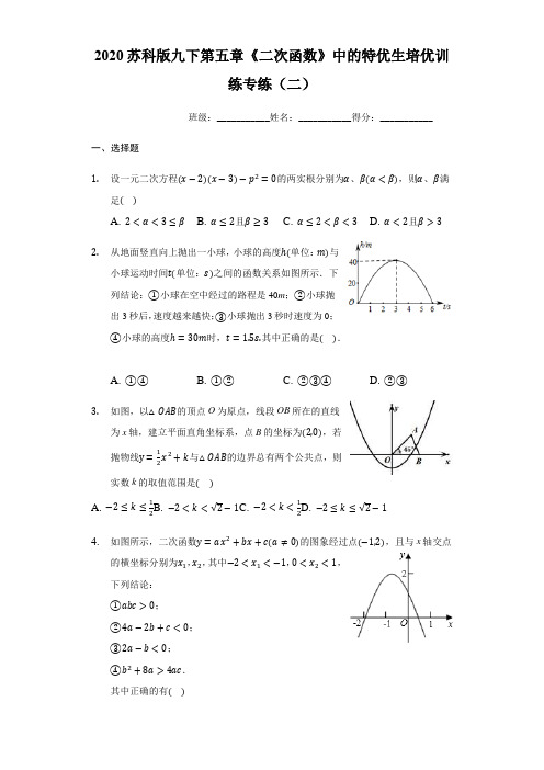 专题14 二次函数特优生培优训练专练(二)(原卷版)九下数学专题培优训练