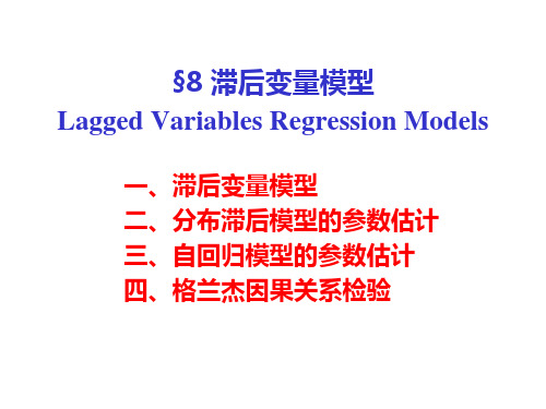 8 滞后变量模型