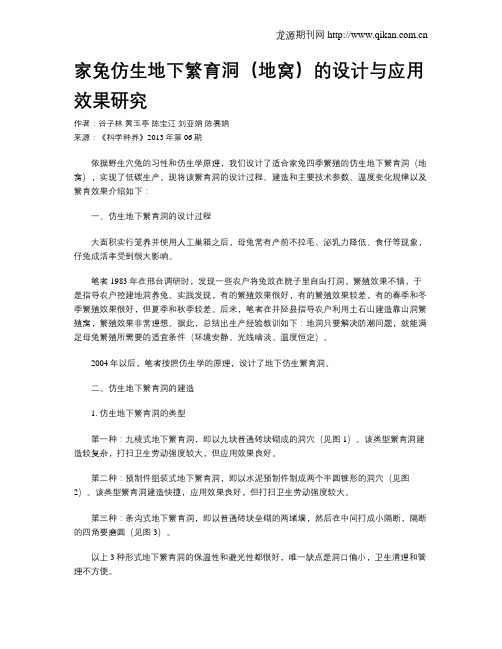 家兔仿生地下繁育洞(地窝)的设计与应用效果研究