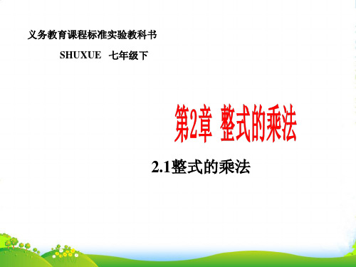 2022年湘教版七年级数学下册第二章《整式的乘法》优质课件1