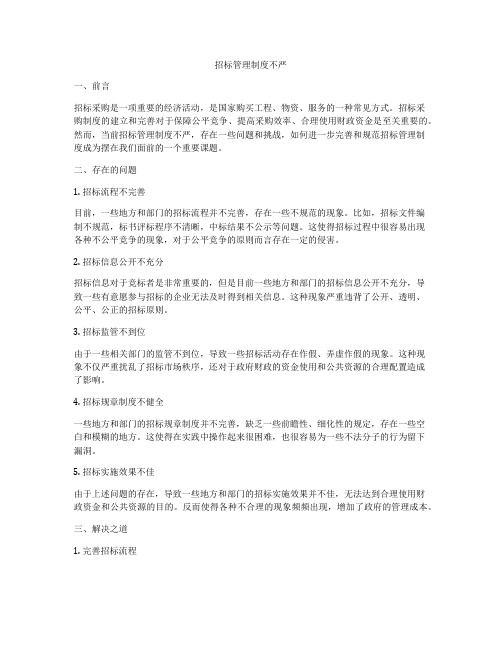 招标管理制度不严