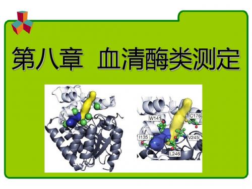 第八章-血清酶类测定