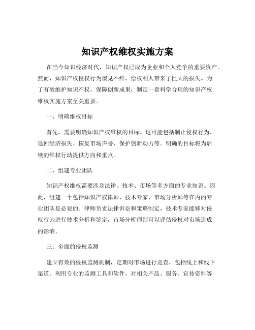 知识产权维权实施方案