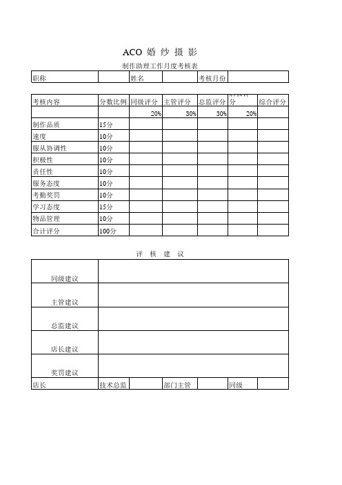 制作助理工作月度考核表