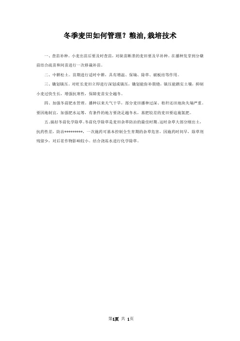 冬季麦田如何管理?粮油,栽培技术