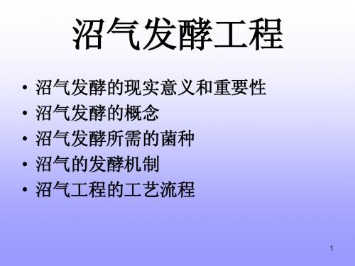 沼气发酵